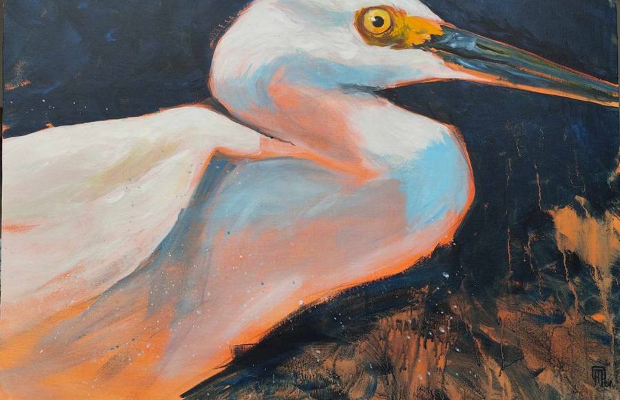 Peinture : gros plan sur une aigrette blanche, sur fond bleu nuit